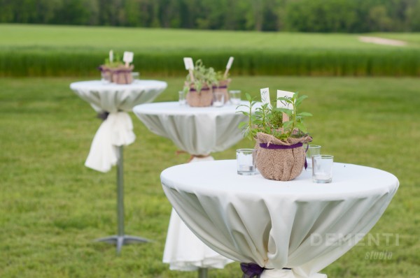 Country wedding, cocktail tables