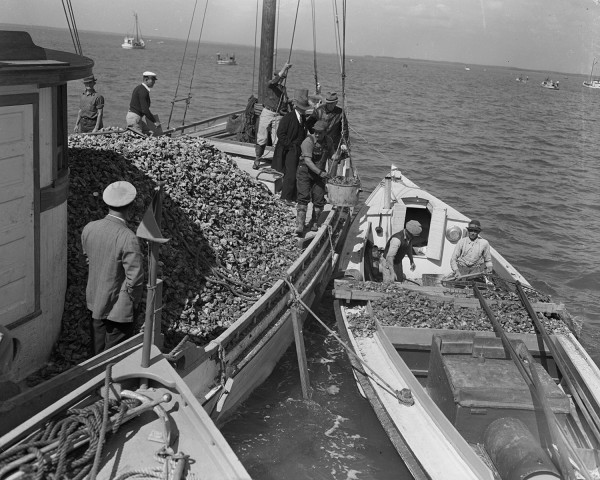 watermen_and_oyster_industry_october_1940_2773_002