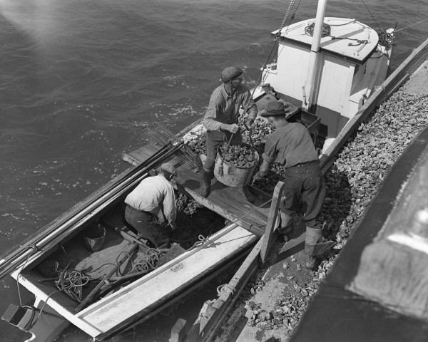 watermen_and_oyster_industry_october_1940_2773_006