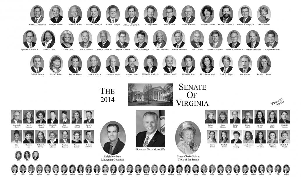 2014 Senate of Virginia